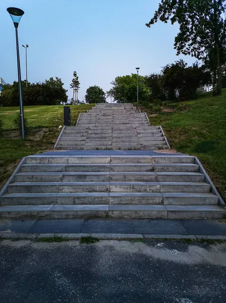 Бетонная Широкая Лестница Дорожке Парке — стоковое фото