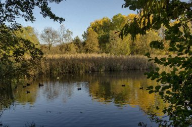 Sonbahar South Park Sofya Bulgaristan