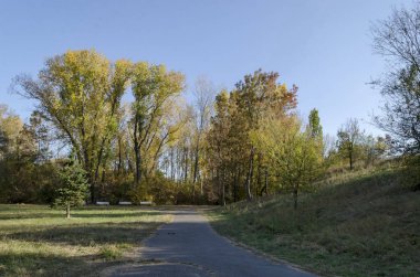 Sonbahar South Park Sofya Bulgaristan