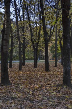 Sonbahar South Park Sofya Bulgaristan
