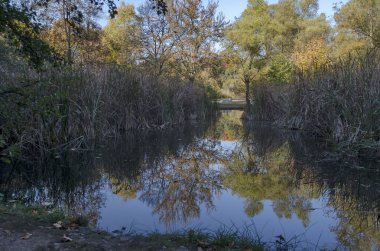 Sonbahar South Park Sofya Bulgaristan