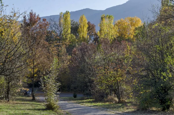 Осень Южном Парке Софии Болгария — стоковое фото