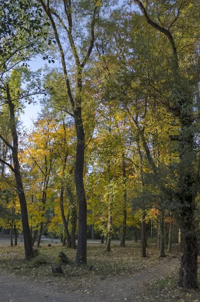 Otoño South Park Sofía Bulgaria — Foto de Stock