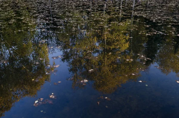 Riflessione Acqua South Park Sofia Bulgaria — Foto Stock