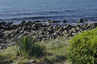 Nessebar Bulgaristan tarafından karadeniz kıyılarının manzara