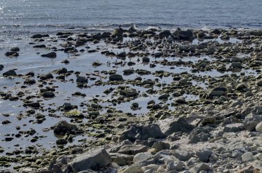 Hayat tarafından sahil Karadeniz Nessebar, Bulgaristan