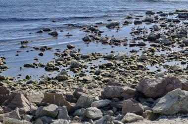 Hayat tarafından sahil Karadeniz Nessebar, Bulgaristan