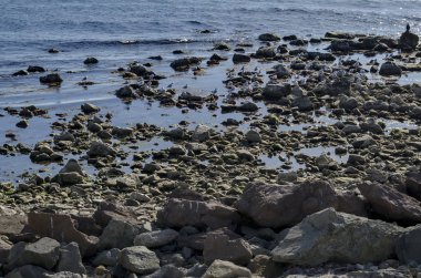 Hayat tarafından sahil Karadeniz Nessebar, Bulgaristan