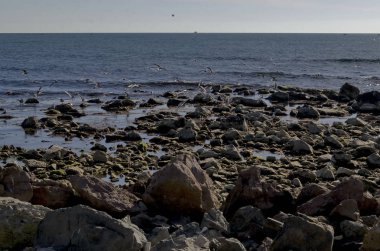 Hayat tarafından sahil Karadeniz Nessebar, Bulgaristan