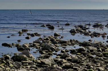 Hayat tarafından sahil Karadeniz Nessebar, Bulgaristan