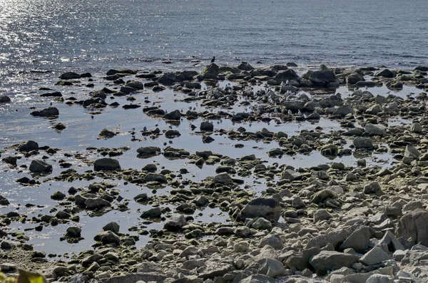 Hayat tarafından sahil Karadeniz Nessebar, Bulgaristan