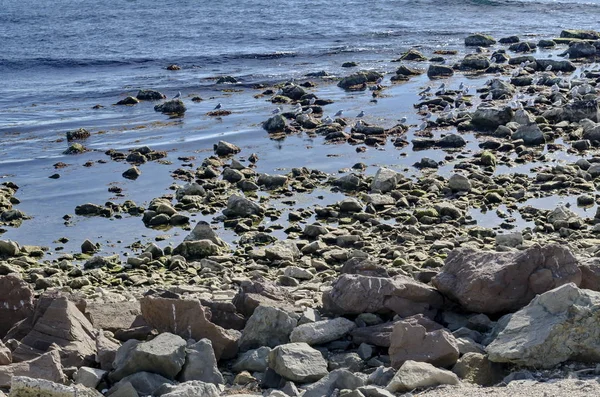 Life Seashore Black Sea Nessebar Bulgaria — Stock Photo, Image