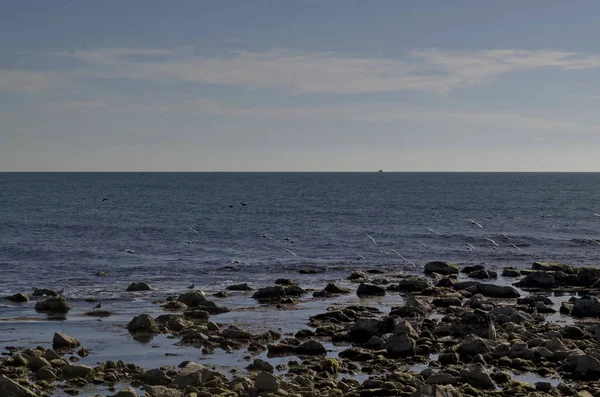 Life Seashore Black Sea Nessebar Bulgaria — Stock Photo, Image