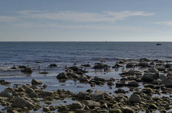 Vie Bord Mer Mer Noire Nessebar Bulgarie — Photo