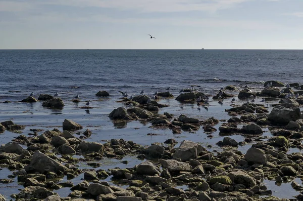 Life Seashore Black Sea Nessebar Bulgaria — Stock Photo, Image