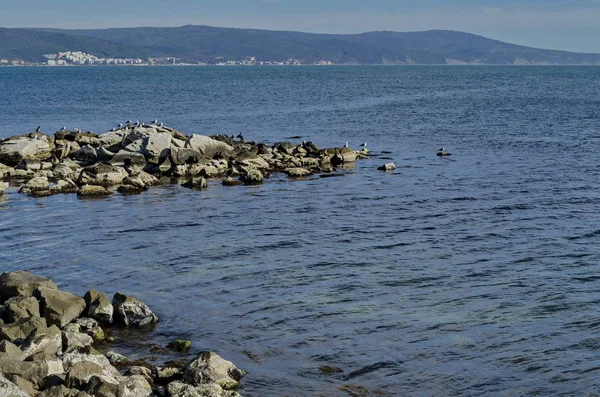 Vita Riva Mare Nel Mar Nero Nessebar Bulgaria — Foto Stock