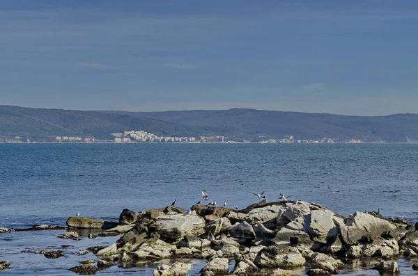 Vida Orillas Del Mar Mar Negro Nessebar Bulgaria —  Fotos de Stock