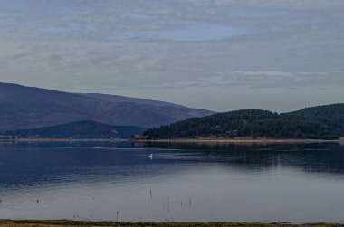 Ropi dağ Bulgaristan 'da batak Barajı etrafında bitki örtüsü, hayvanlar ve kuşlar
