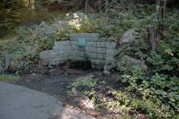 Brunnen Mit Herrlich Kaltem Wasser Plana Mountain Bulgaria — Stockfoto