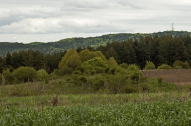 Plana Dağı peyzaj, Bulgaristan