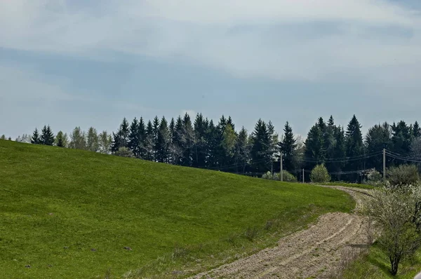 Paisaje Montaña Plana Bulgaria — Foto de Stock