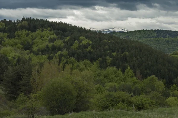 Plana Rila Montañas Rila Distancia Bulgaria — Foto de Stock