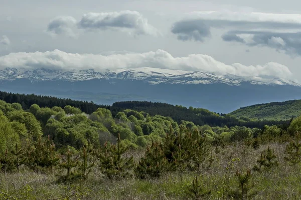 Plana Rila Montagne Rila Distanza Bulgaria — Foto Stock