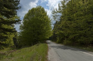 Bulgaristan 'da plana dağ bölgesinde peyzaj