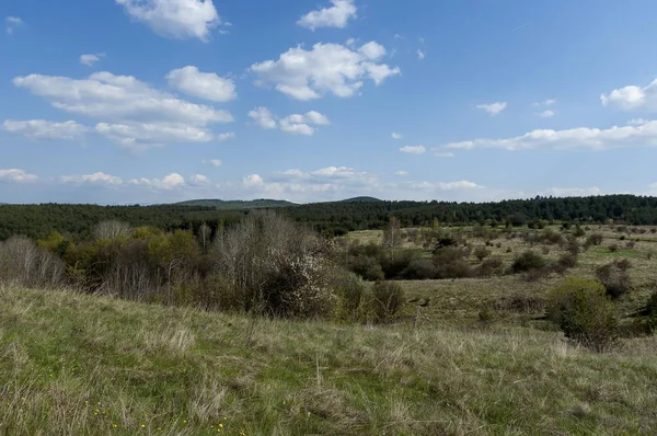 Pueblo Plana Montaña Plana Bulgaria — Foto de Stock