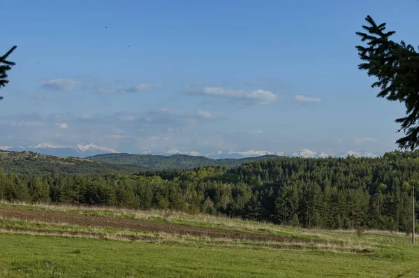 Plana Rila Montañas Rila Distancia Bulgaria — Foto de Stock