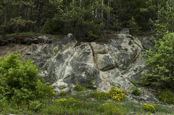 Paisagem Região Montanhosa Plana Bulgária — Fotografia de Stock