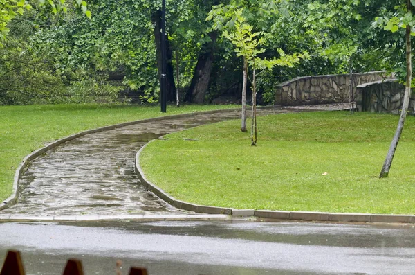 Парк Рила Дождливому Дню Дупнице Болгария — стоковое фото