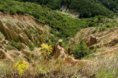 Stob kumtaşı piramitleri, Rila dağ Bulgaristan
