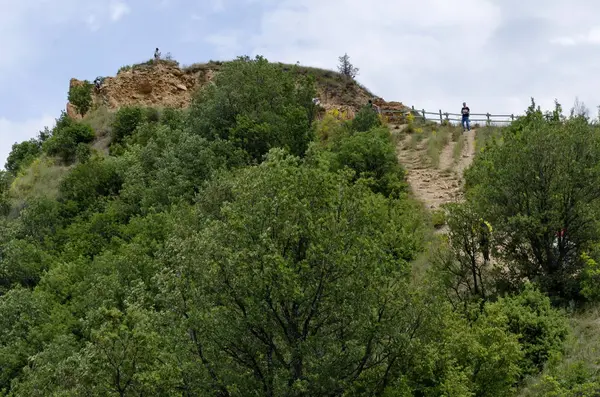 Les Pyramides Grès Stob Montagne Rila Bulgarie — Photo