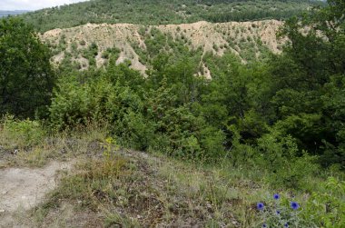 Stob kumtaşı piramitleri, Rila dağ Bulgaristan