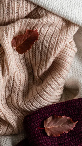 Arka plan ile sıcak kazak. Sonbahar yaprakları, sıcak arka plan, triko, metin, sonbahar kış konsepti için yer ile örme elbise yığını. Kopya alanı.