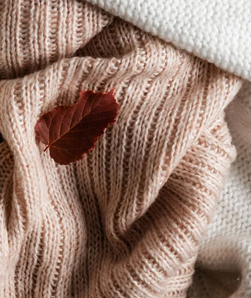 Háttér meleg pulóverek. Bolyhos kötött ruhák, őszi levelek, meleg háttér, kötöttáru, szöveg, ősz-tél koncepció hely. Másolja a hely. — Stock Fotó