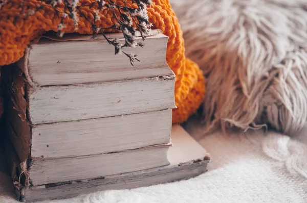 Pila di libri e maglioni lavorati a maglia accoglienti su sfondo caldo e con viburno ed erbario. Concetto autunno-inverno — Foto Stock