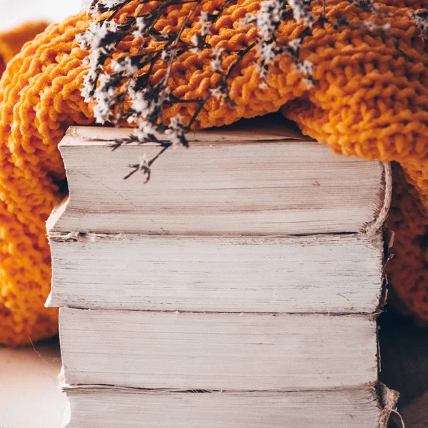 Pila di libri e maglioni lavorati a maglia accoglienti su sfondo caldo e con viburno ed erbario. Concetto autunno-inverno — Foto Stock