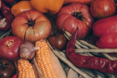 Hasat, sonbahar. Taze sağlıklı meyve ve sebze panoramik topluluğu. Sağlıklı beslenme arka plan. Sebze arka plan