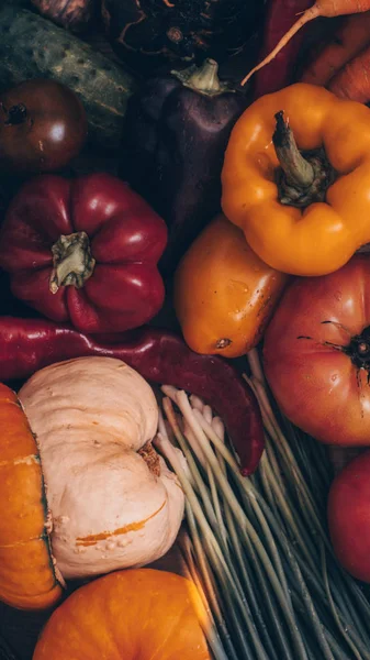 Ernte, Herbst. panoramische Sammlung von frischem, gesundem Obst und Gemüse. gesunde Ernährung Hintergrund. Hintergrund Gemüse — Stockfoto