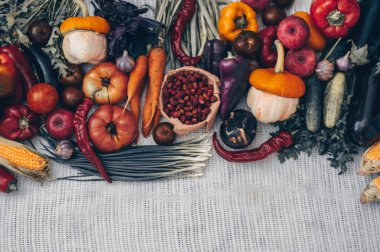 Hasat, sonbahar. Taze sağlıklı meyve ve sebze panoramik topluluğu. Sağlıklı beslenme. Uzay kopyalayın. Sebze arka plan