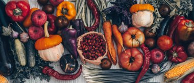 Hasat, sonbahar. Taze sağlıklı meyve ve sebze panoramik topluluğu. Sağlıklı beslenme. Uzay kopyalayın. Sebze arka plan