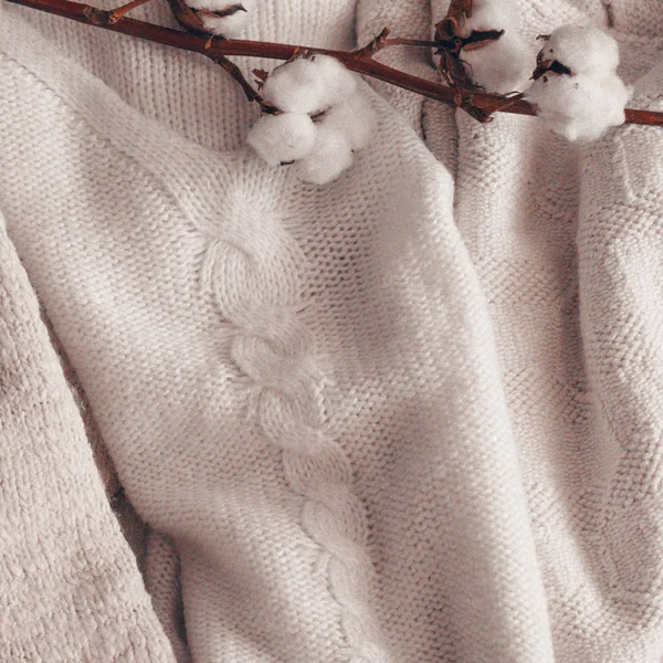 아늑한 목화 꽃입니다. 따뜻한 스웨터와 면입니다. 정 크리에이 티브 구성입니다. 말린된 목화와 함께 최신 유행가 배경 — 스톡 사진