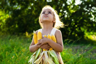 Sonbaharda bir Mısır tarlasında oynarken küçük kız. Mısır koçanı tutan çocuk. Çocuklarla hasat. Çocuklar için sonbahar faaliyetleri