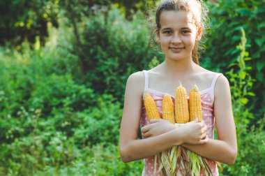 Sonbaharda bir Mısır tarlasında oynarken küçük kız. Mısır koçanı tutan çocuk. Çocuklarla hasat. Çocuklar için sonbahar faaliyetleri