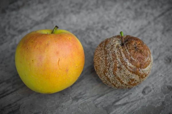 Fresh Apple and rotten Apple lying on a gray background. Good and Bad Apples, Seasonal natural scene. Apple biting rotten bruise.