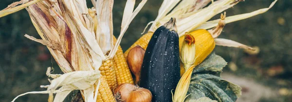 Ξύλινο κουτί με φθινοπωρινά λαχανικά harvest αγρόκτημα και ριζωματώδη φυτά. Φαγητό υγιεινό και βιολογικό υπόβαθρο. Έννοια των νωπών τροφίμων, υγιεινή — Φωτογραφία Αρχείου