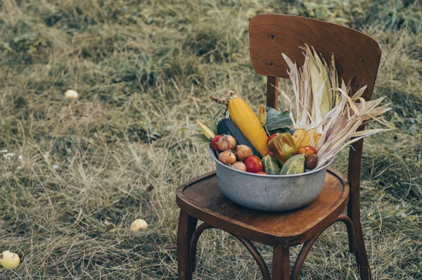 Chaise en bois avec récolte d'automne légumes agricoles et les plantes sarclées. Aliments sains et biologiques. Concept d'aliments sains . — Photo