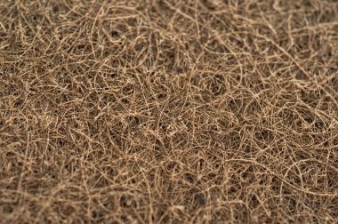Mattress with coconut fiber. Coconut coir. Grated coconut shell for the production of mattresses. texture, natural background. clipart